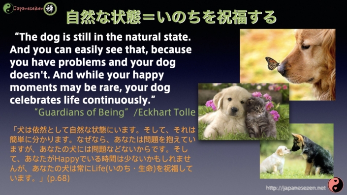 英語で禅 Japanesezen 名言集 Japanese Zen