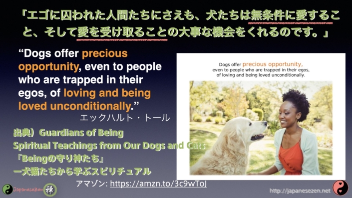 英語で禅 Japanesezen 名言集 Japanese Zen